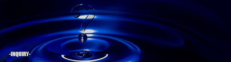 INQUIRY