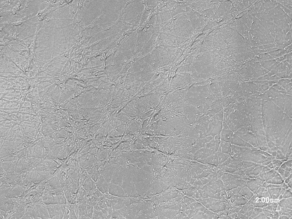 【技術情報】ゼラチン・PVP混合ナノファイバーシートを紡糸しました②